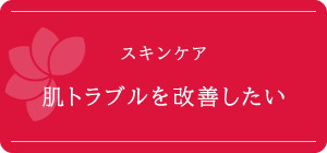 V-HIMAXリフトアップコース