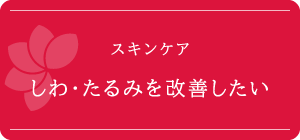 お肌リセットコース